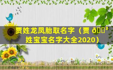 贾姓龙凤胎取名字（贾 🌳 姓宝宝名字大全2020）